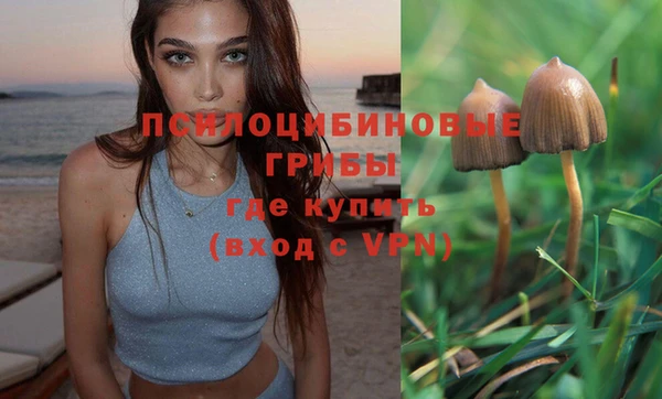 ешки Алексеевка