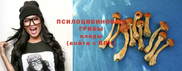 круглые Алзамай