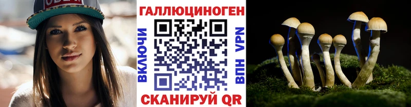 Галлюциногенные грибы Psilocybine cubensis  хочу наркоту  Хотьково 